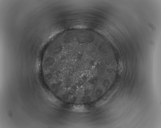 X0000113260355200910011412