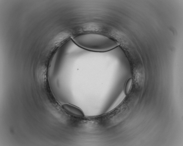 X0000113260356200910011412