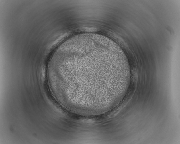 X0000113260358200910011412