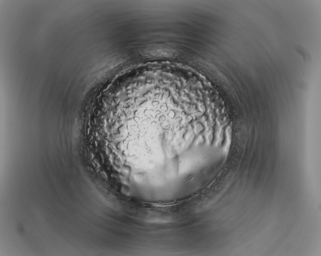 X0000113260359200910011412