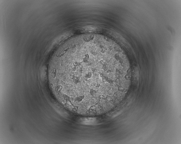 X0000113260361200910011412