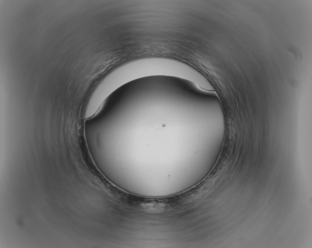 X0000113260362200910011412