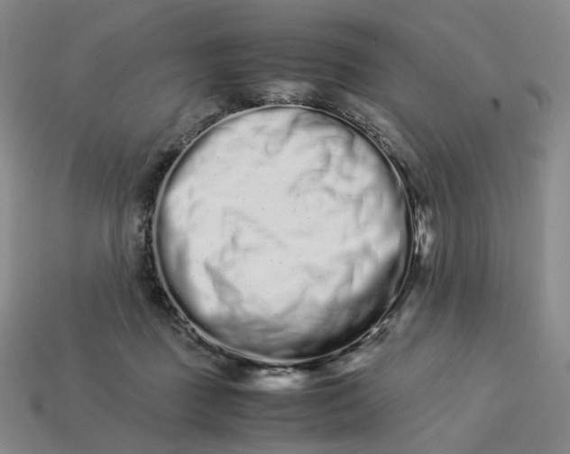 X0000113260363200910011412