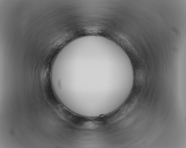 X0000113260364200910011412