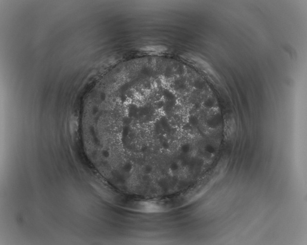 X0000113260365200910011412