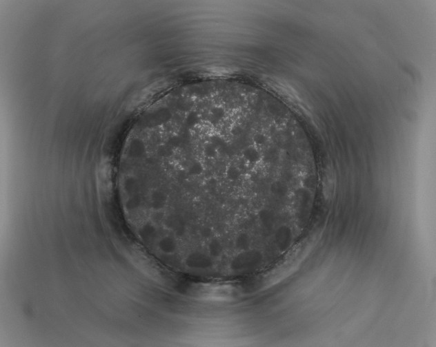 X0000113260366200910011412