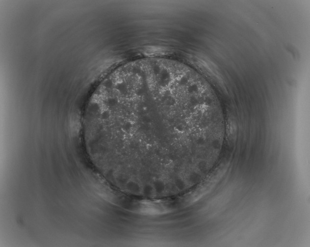X0000113260367200910011412