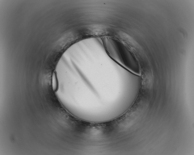 X0000113260368200910011412