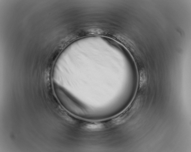 X0000113260369200910011412