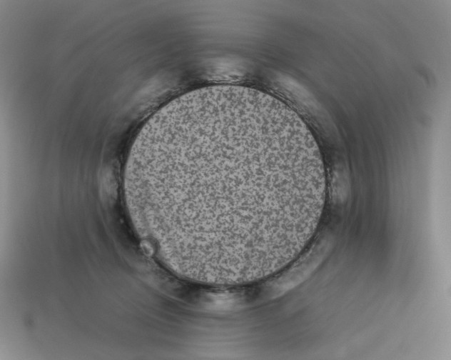 X0000113260370200910011412