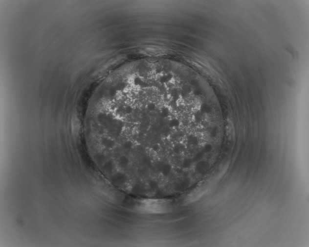 X0000113260371200910011412
