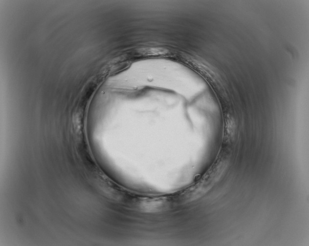X0000113260373200910011412