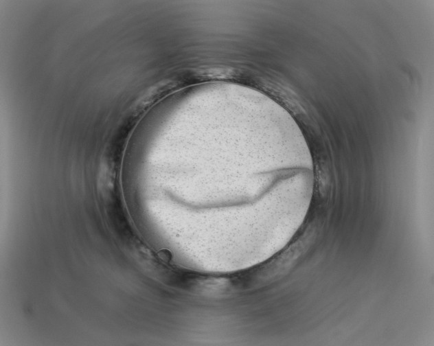 X0000113260374200910011412