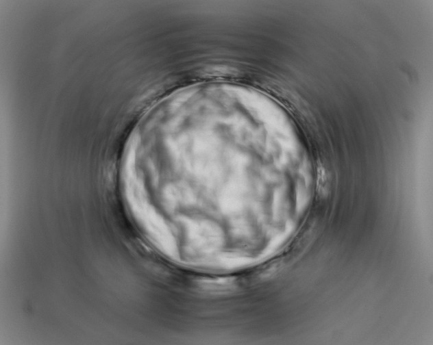 X0000113260375200910011412
