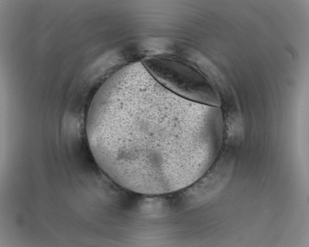 X0000113260376200910011412