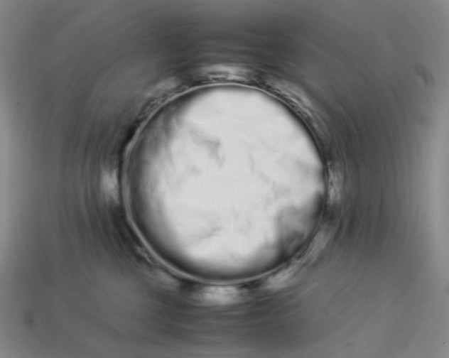 X0000113260377200910011412