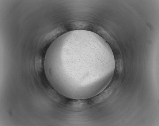 X0000113260378200910011412