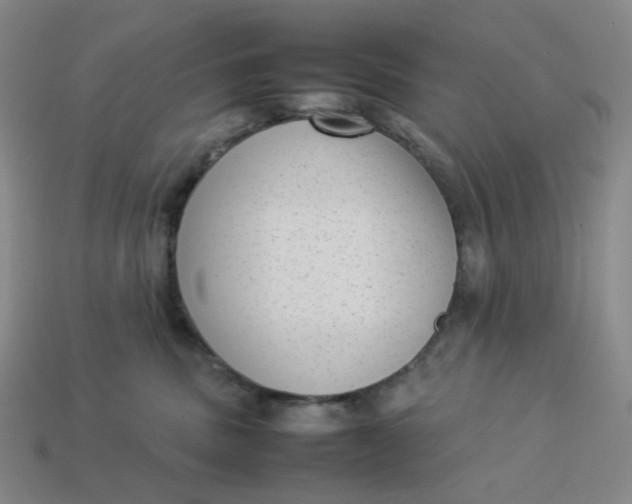 X0000113260379200910011412