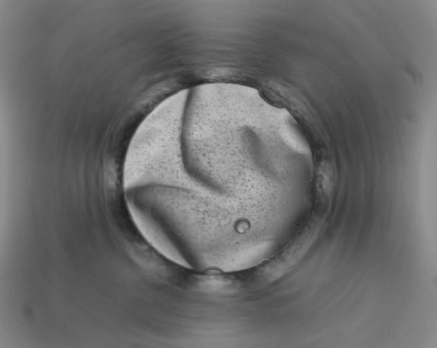 X0000113260380200910011412