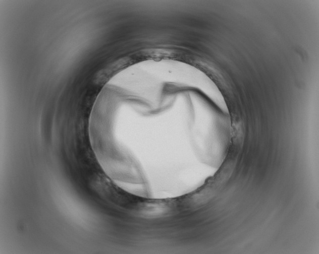X0000113260381200910011412