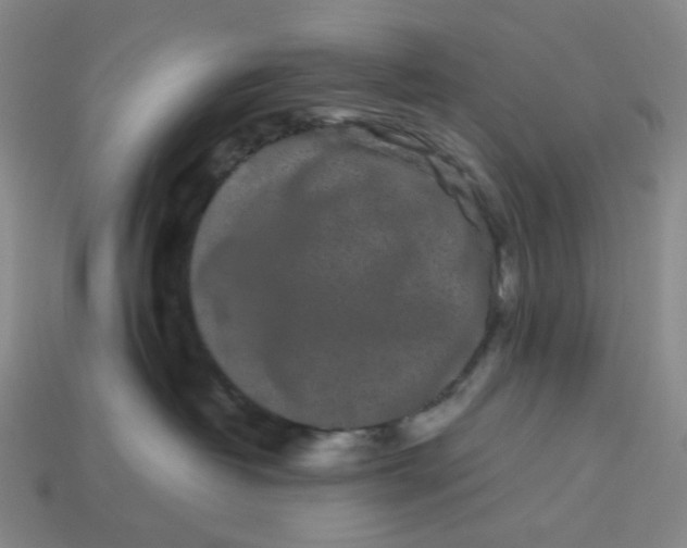 X0000113260382200910011412