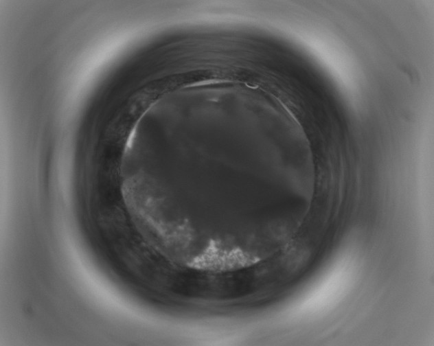 X0000113260383200910011412