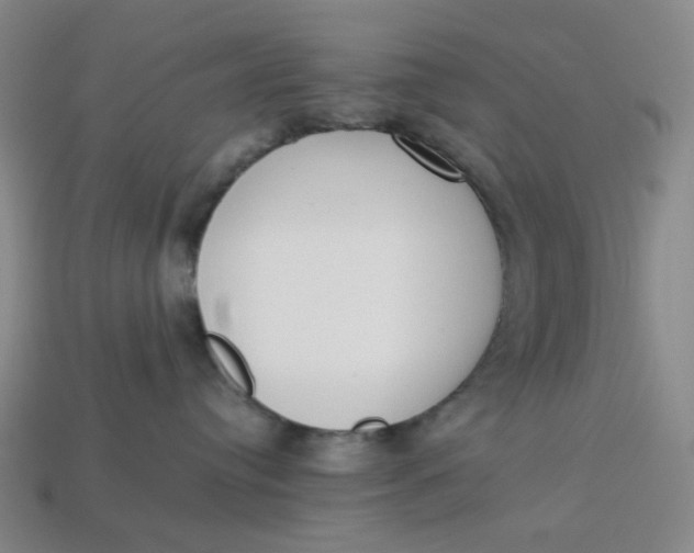 X0000113260384200910011412