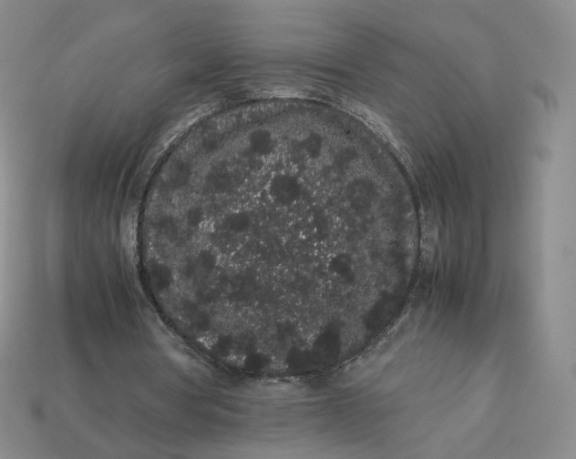 X0000113260386200910011412