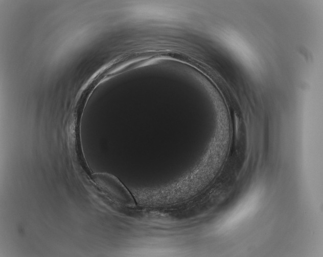 X0000113260387200910011412