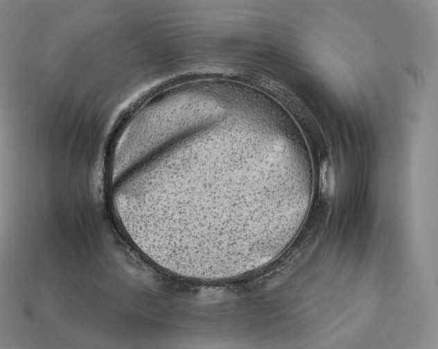 X0000113260388200910011412
