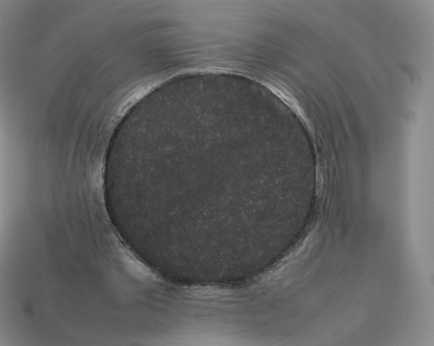X0000113260389200910011412