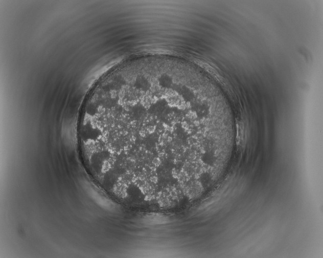 X0000113260390200910011412
