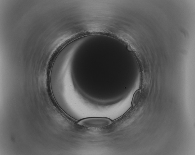 X0000113260391200910011412