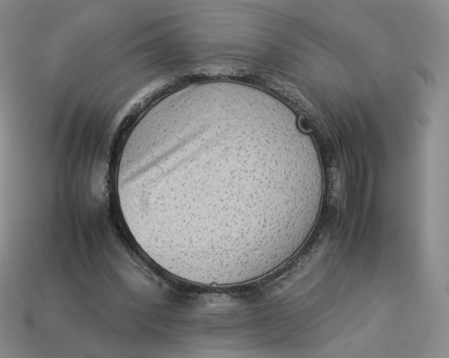 X0000113260392200910011412