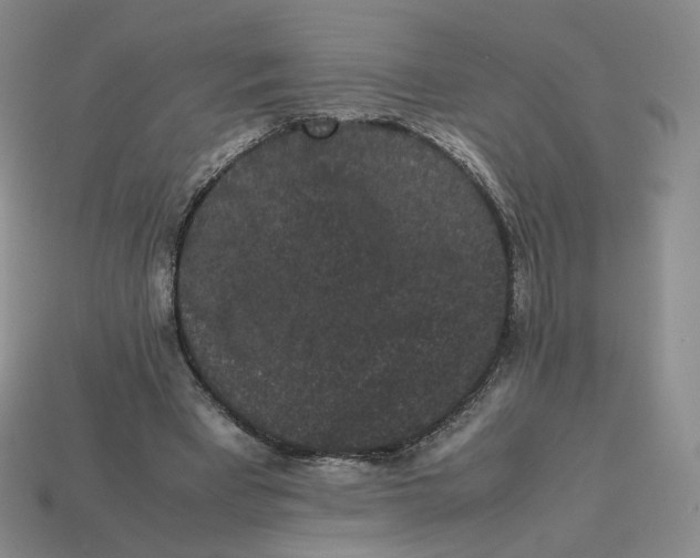 X0000113260393200910011412