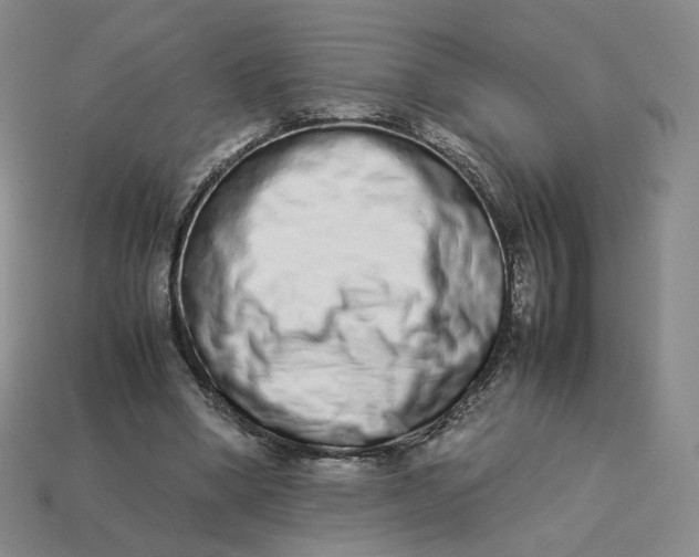 X0000113260394200910011412