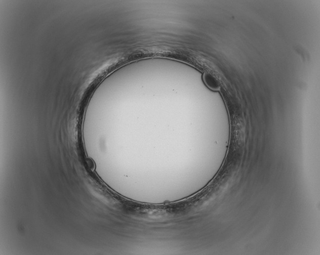 X0000113260395200910011412