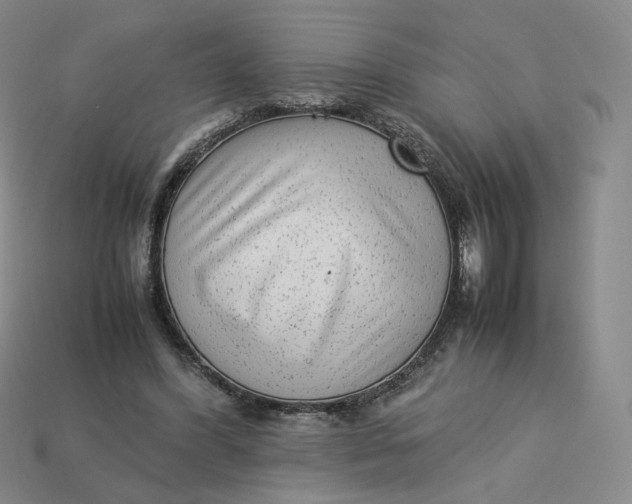 X0000113260396200910011412