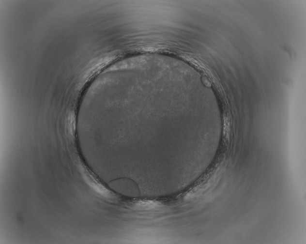 X0000113260397200910011412