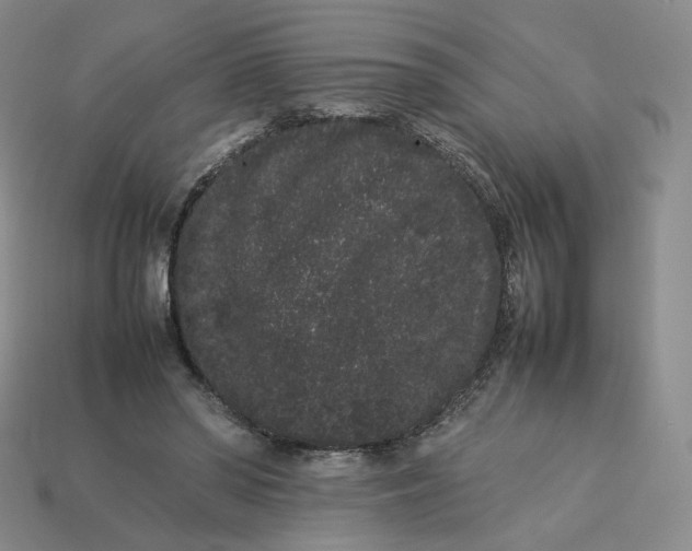 X0000113260398200910011412
