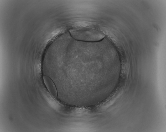 X0000113260399200910011412