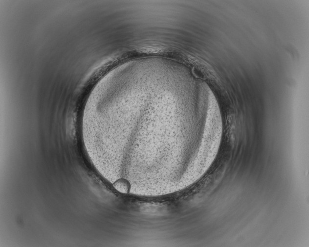 X0000113260400200910011412