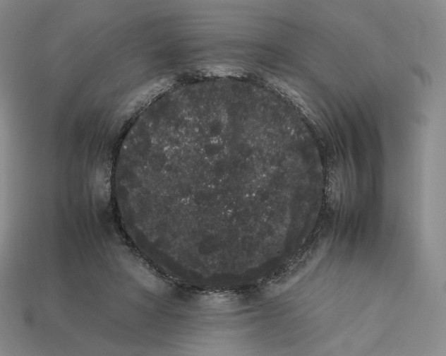 X0000113260402200910011412