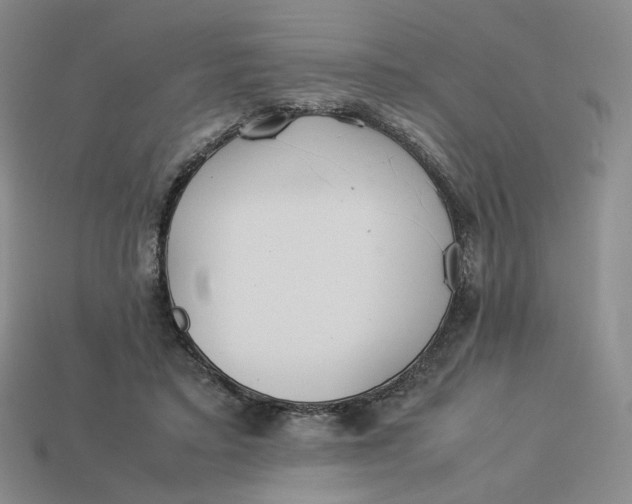 X0000113260403200910011412