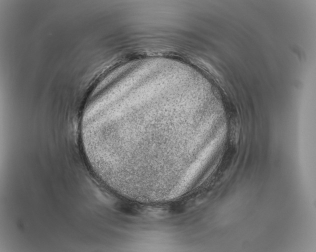 X0000113260405200910011412