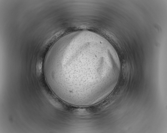 X0000113260406200910011412