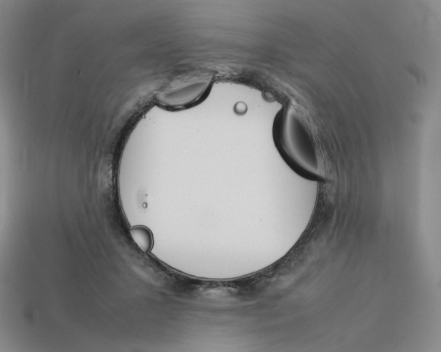 X0000113260407200910011412