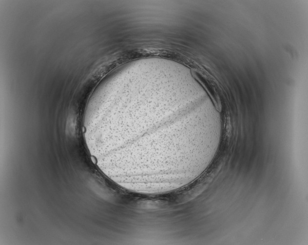 X0000113260408200910011412