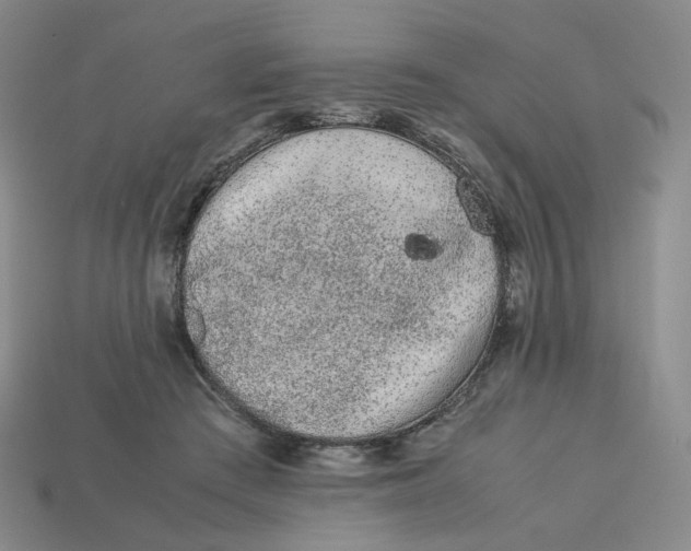 X0000113260409200910011412