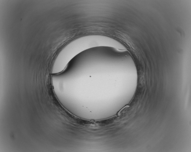 X0000113260411200910011412